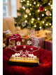 albero di natale in plexiglas con base luminosa